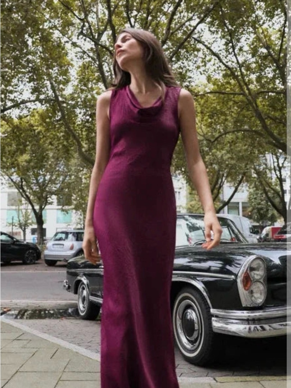Zara Plum Backless Maxi Dress